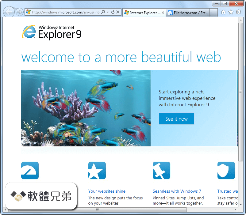 Internet Explorer (Vista) Screenshot 1