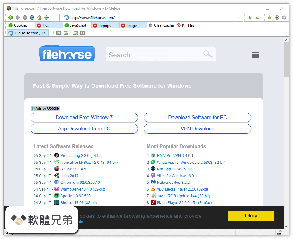 K-Meleon Browser Screenshot 2
