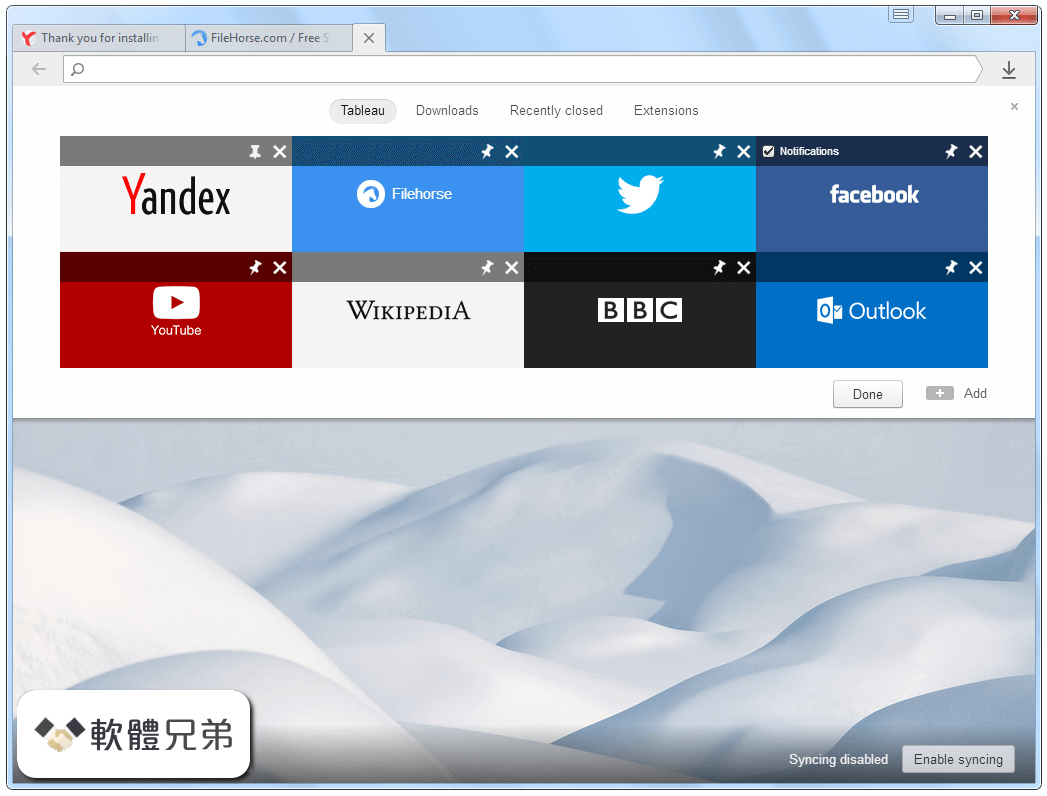 Yandex Browser Screenshot 2
