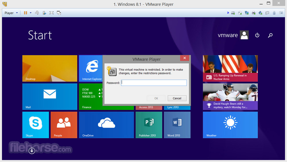 VMware Workstation Player Screenshot 4