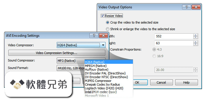 Prism Video Converter Screenshot 2